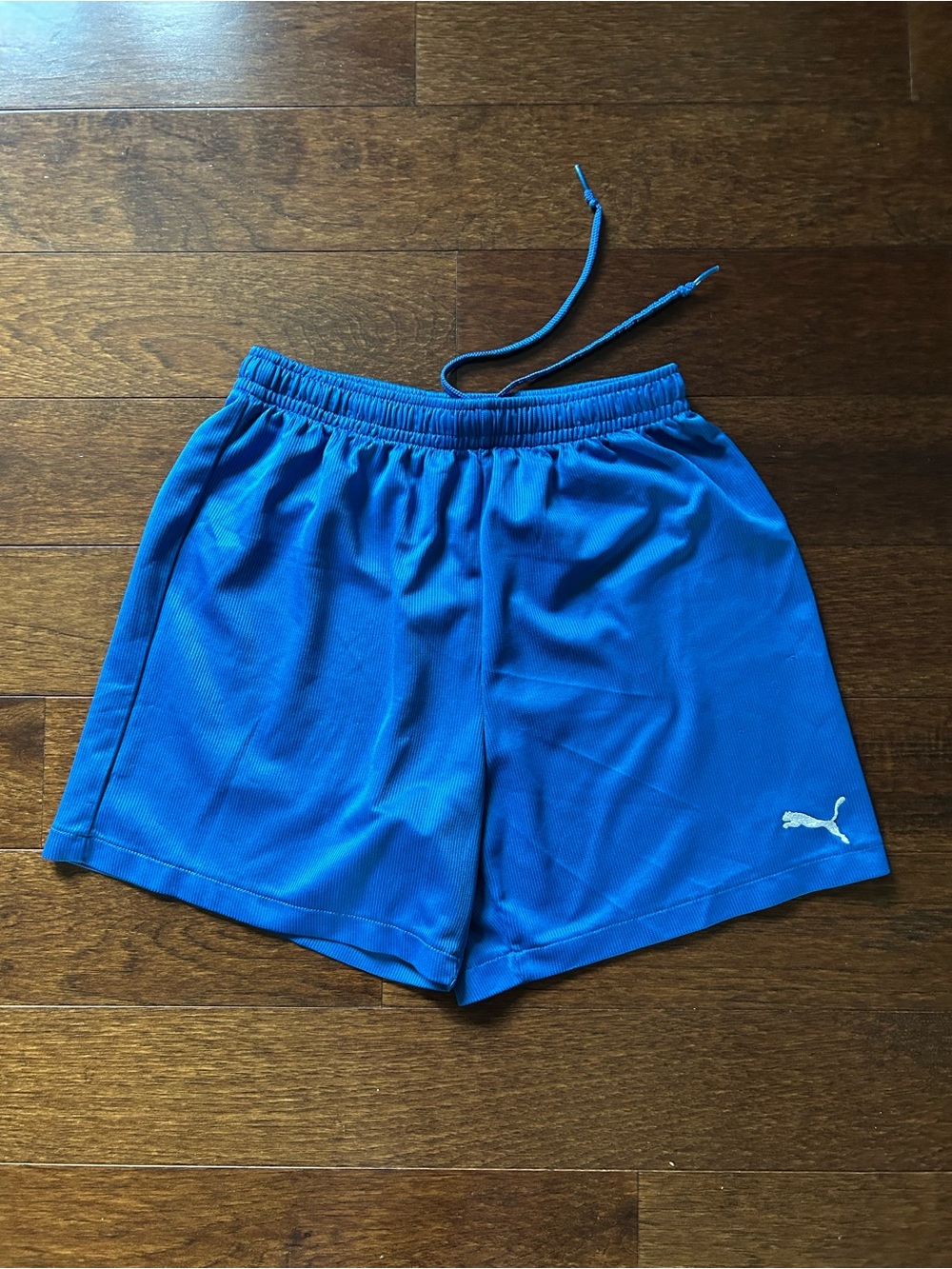Women’s Small Puma Bright Blue Elastic Waist Athletic Shorts